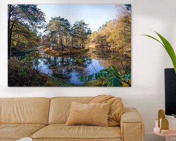 Reflexionen der Herbstfarben der Blätter im Herbst im Wald, See im Utrechtse Heuvelrug, Zeist