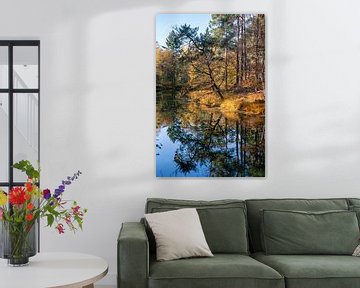 Spiegelung von Bäumen im Wasser im Wald im Herbst, See im Wald von Utrechtse heuvelrug, Utrecht, Nie von John Ozguc