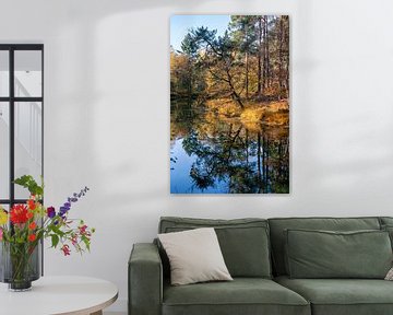 Reflectie van bomen in water in bos tijdens de herfst, meer in het woud van Utrechtse heuvelrug, Utr van John Ozguc