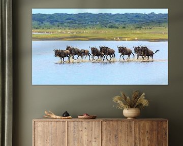 wildebeest galloping through the lake by Anja Brouwer Fotografie