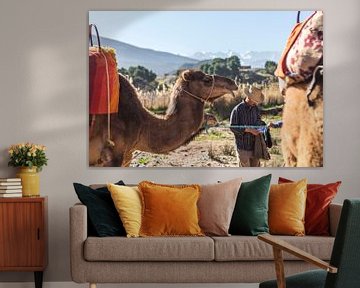 Camel ride by Malou Franken