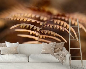 navigate by Marieke Funke