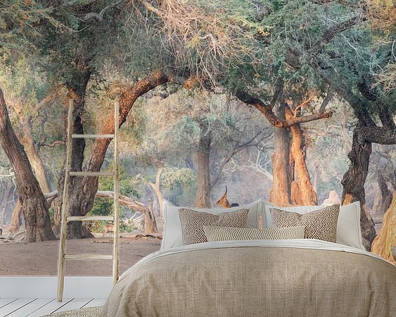 Aperçu de la chambre