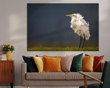 Heron in the wind by Anja Brouwer Fotografie