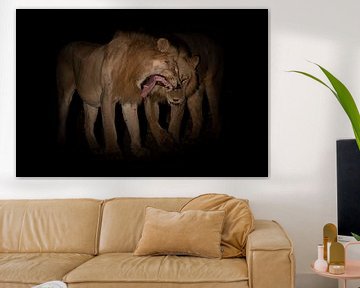 Des lions la nuit sur Anja Brouwer Fotografie