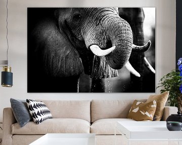 Drinkende olifant van Anja Brouwer Fotografie