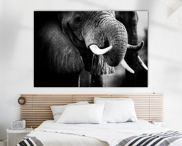 Drinkende olifant van Anja Brouwer Fotografie