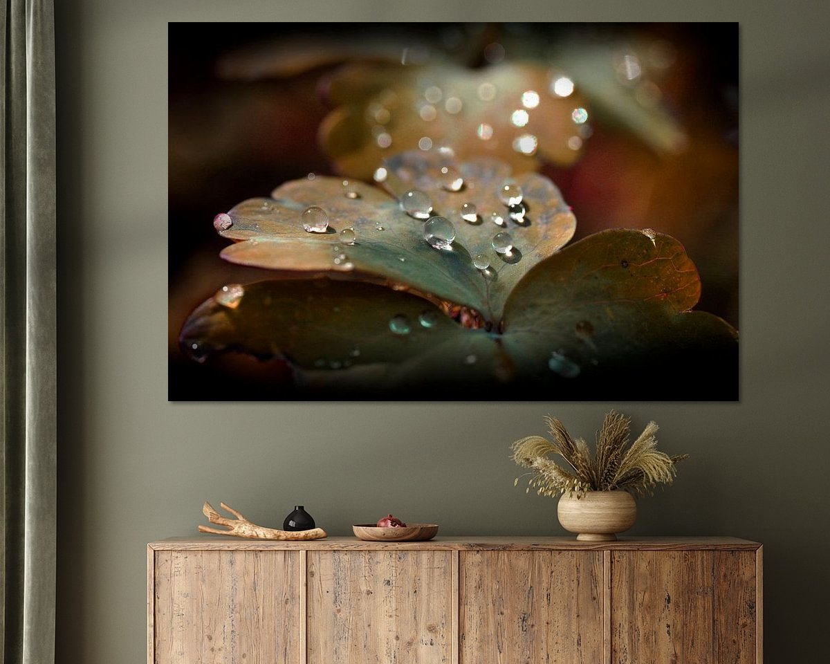 Raumvorschau