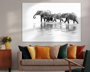 Drinkende olifanten in rivier in Zambia van Anja Brouwer Fotografie