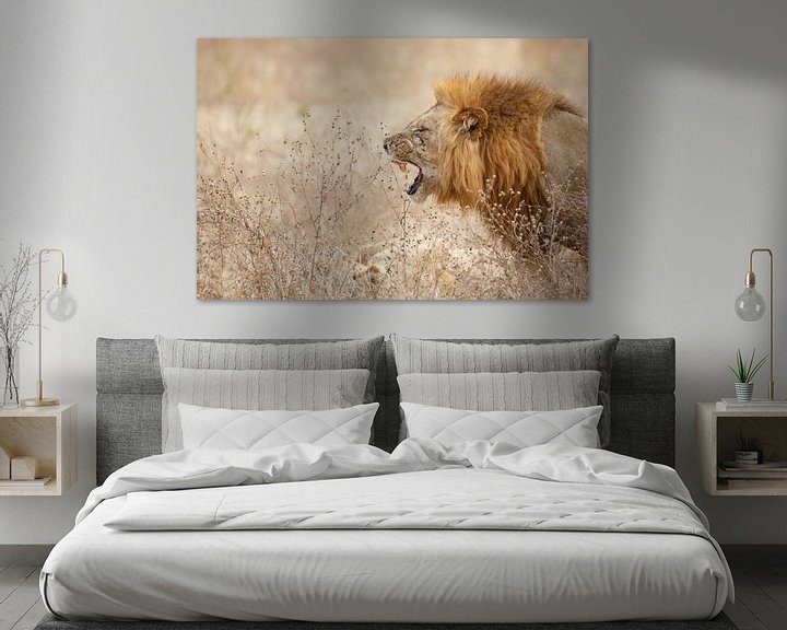 Sfeerimpressie: Grommende leeuw van Anja Brouwer Fotografie