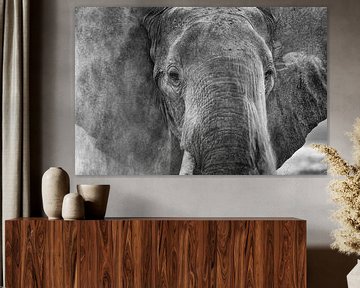 Dusty elephant by Anja Brouwer Fotografie