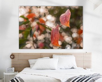 Red autumn leaves in front of  a twinkling background