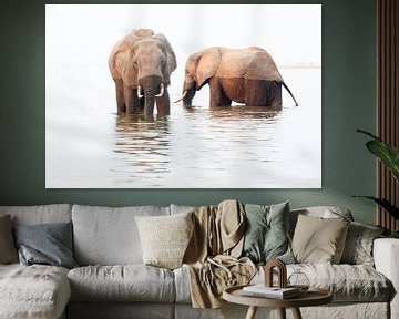 Elephants eat and drink in the water by Anja Brouwer Fotografie