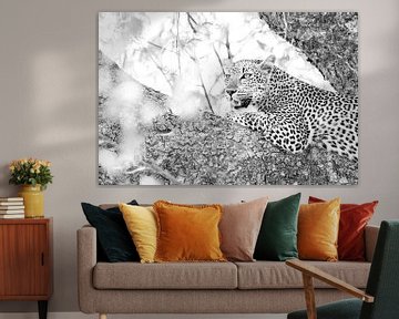Leopard im Baum von Anja Brouwer Fotografie