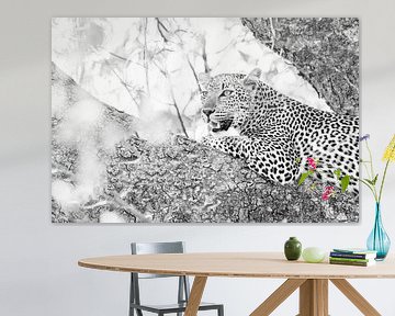 Leopard in tree by Anja Brouwer Fotografie