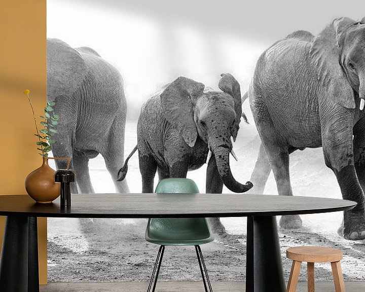 Sfeerimpressie behang: Stoffige familie olifant van Anja Brouwer Fotografie