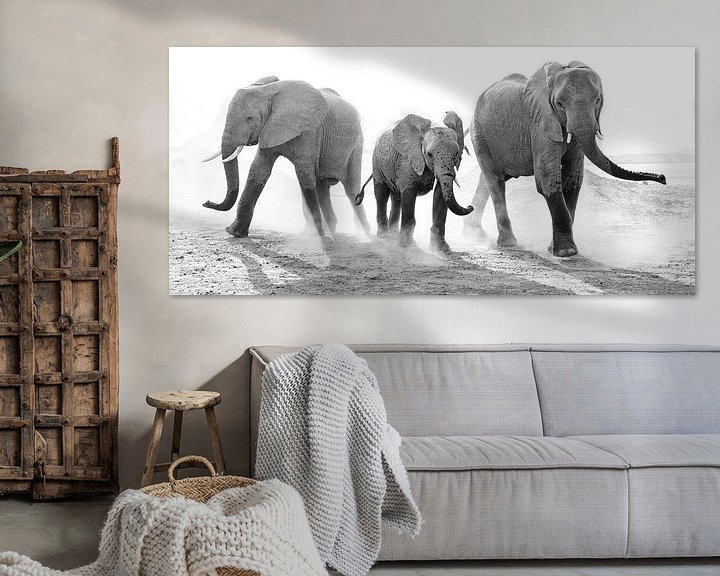Sfeerimpressie: Stoffige familie olifant van Anja Brouwer Fotografie