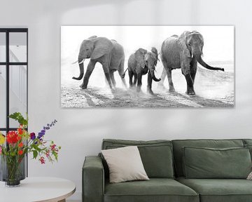 Stoffige familie olifant van Anja Brouwer Fotografie