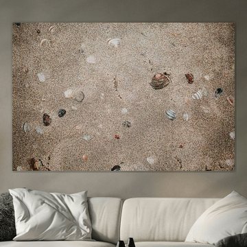 A sea of shells | Zandvoort | Nature photography The Netherlands