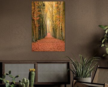 A wall of trees van Max ter Burg Fotografie