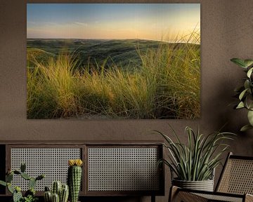 Les dunes de marramots ondulantes Castricum-Egmond sur Rutger van der Klip