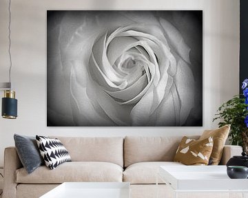 Heart of a White Rose van Nicky`s Prints