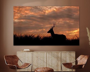 Silhouette eines Hirsches bei Sonnenuntergang von Ilya Korzelius