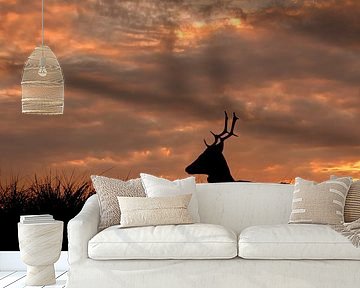 Silhouette of deer at sunset