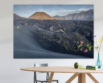 Een paard rijder in de verte op de zwarte zandvlakte van Bromo van Anges van der Logt