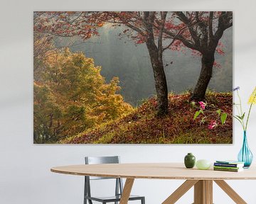 Schönes Licht und Herbstfarben im Yujaku-Park