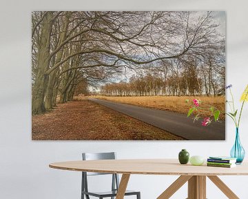 Une route tranquille dans le parc national du Hoge Veluwe sur Anges van der Logt