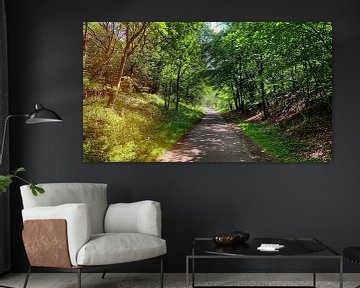 Cycle path through forest in dunes by Digital Art Nederland