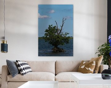 Tree in the water by Merijn Loch