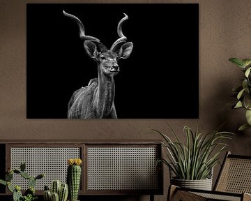 Antelope by Hermann Greiling