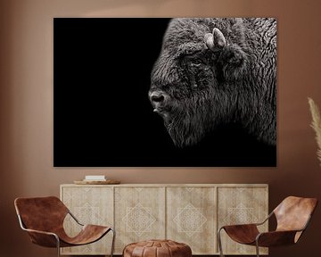 Buffalo by Hermann Greiling