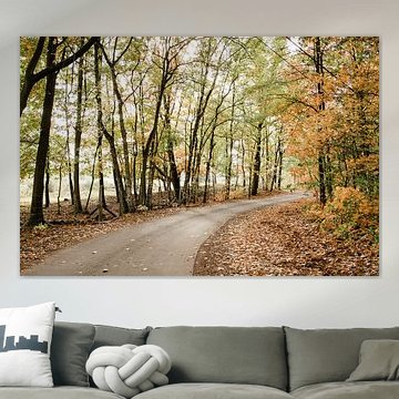 La route de l'automne