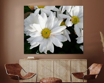 witte bloemen van Artisticcreationsbyramona