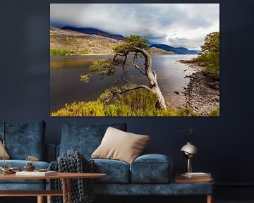 Loch Maree in den Highlands von Schottland von Werner Dieterich