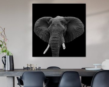 Porträt Elefant in Schwarzweiß von Beeldpracht by Maaike