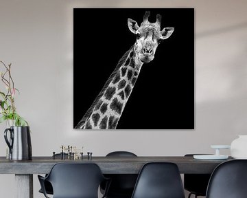 Portret Giraffe in zwart-wit van Beeldpracht by Maaike