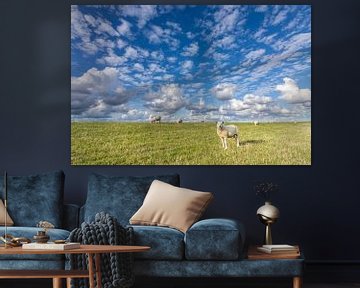 Sheep and sheep clouds by Anja Brouwer Fotografie