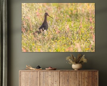 Black-tailed godwit in the herbaceous grass by Anja Brouwer Fotografie