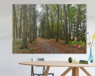 Boswandeling / Walk in the Forest van Henk de Boer