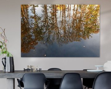 Bomen weerspiegeling / Tree reflection van Henk de Boer