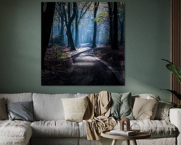 Ghost forest 4 by Nuance Beeld