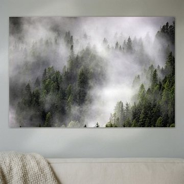 Nebula by Anthony Damen