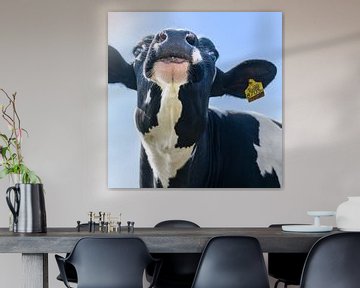 Een praatgrage koe van Miranda Heemskerk