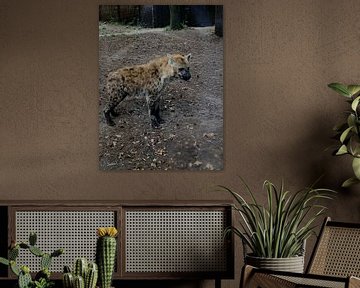 Hyena van Lois Metzelaar