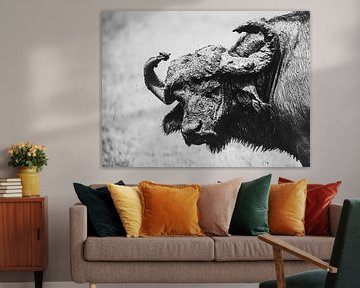 Stoere buffel van Sharing Wildlife
