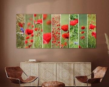 poppies palette by Yvonne Blokland